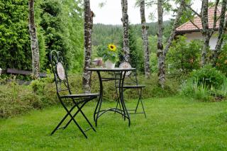 Haus Marianne Dörflinger - Schluchsee - 1