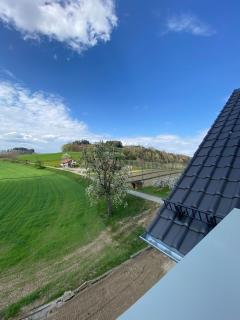 Ferienwohnung Hopfenblick Dachterasse 3SZ Bodenseeregion - Tettnang - 0