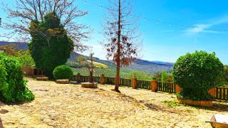 Suitur Cortijo de Don Lolo - La Carrera de la Viña - 9