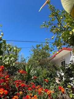 Ohanaa Apartament - Sarandë - 2
