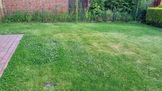 Ferienhaus Hunsche - 9