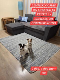 Arens rent Kohtu 2A Apartment - 2