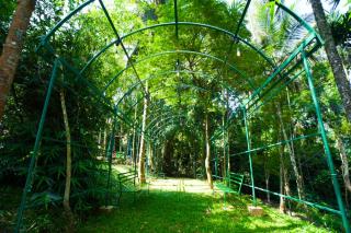 Holiday Courtyard Wayakanand - Padinjarathara - 1