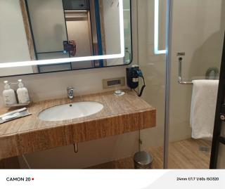 Mirage Hotel, Mumbai International Airport - Mumbai - 7