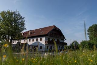 Landgasthof Spitzerwirt - Sankt Georgen im Attergau - 9