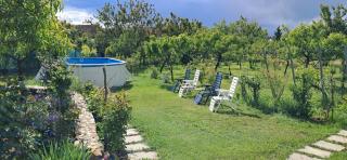 Casa Marza - Ghioroc - 8