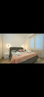 Residenza il Bruco N 1 300mt da metropolitana - Cernusco sul Naviglio - 3