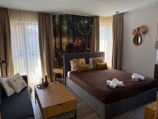 Luxury Studio1 in Hotel Friends SPA - Bansko - 3