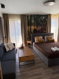 Luxury Studio1 in Hotel Friends SPA - Bansko - 7