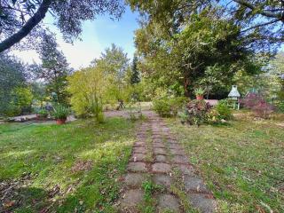 La casa nel Bosco - Manziana - 8