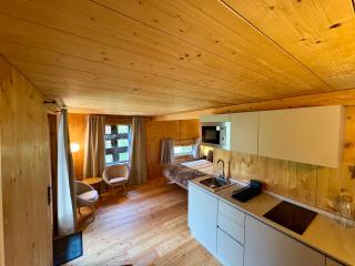 Le Hameau des Biquettes - Vercorin - 1