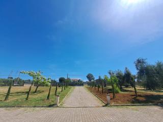 Casa La Giuggiola - Fiano Romano - 7