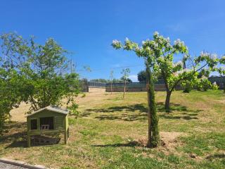Casa La Giuggiola - Fiano Romano - 5