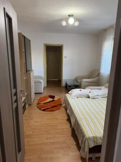 DRD Apartament 2 - Drobeta-Turnu Severin - 1