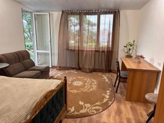 Kaskad 1 bedroom - Jerewan - 1