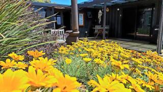 Backstroke Beach Shack - - 3