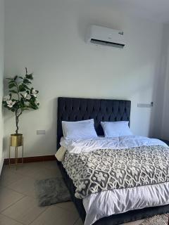 Hummingbird apartment - Nkunjila - 4