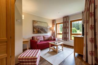 Alpenvital Tirol Appartements - Pertisau - 8