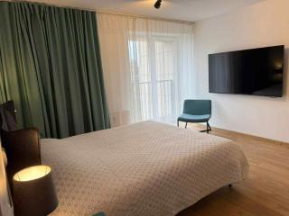 Mineral Apartment - Druskininkai - 5