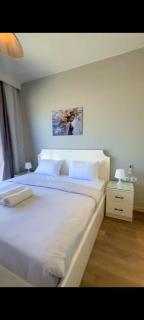 Luxury villa - 1