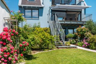 Blauer Seestern - Allensbach - 8