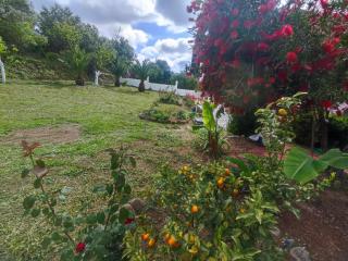 Marianna House - Agios Georgios Pagon - 4