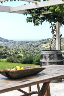 Renovated old winery - Carool - Carool - 2