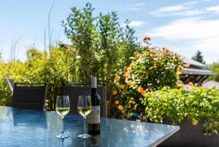 Blauer Seestern - Allensbach - 4