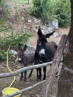 Ranch below Ostrog - - 1