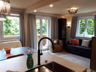 Schafberg Luxury Apartment - 1