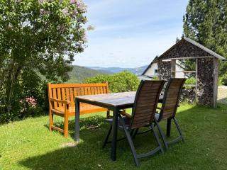 Schwarzwald Residenz - Villa Hubertus - Feldberg - 5