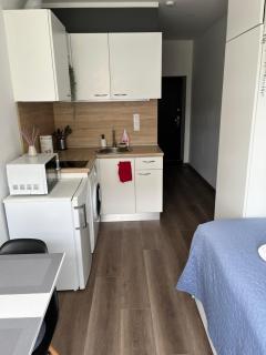 Small cozy Studio 27 Riga - Rīga - 5