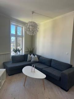 Stor Leilighet med 4 Sov - S6 - Tønsberg - 7