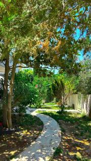 Anthonas House - Nikiti - 7