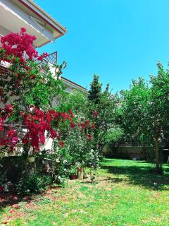 Anthonas House - Nikiti - 6