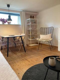 Hyggelig ferielejlighed m have tæt på søerne - Silkeborg - 7