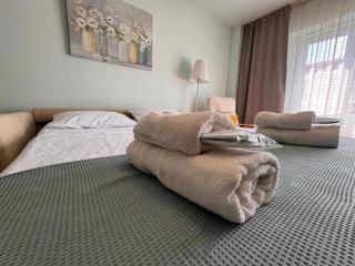 Anna Apartment Timișoara - Timişoara - 5