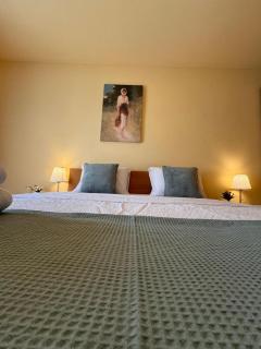 Anna Apartment Timișoara - Timişoara - 7