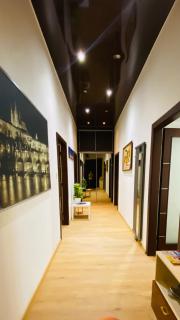 Hotel Apartment in square praha 2 - Prag - 6
