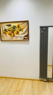Hotel Apartment in square praha 2 - Prag - 1