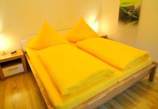 Ferienwohnung Ginkgo 2 Dresden Mit Terrasse - Dresde - 8