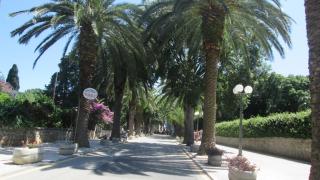 Apartmani Lemona - Sutivan - 7