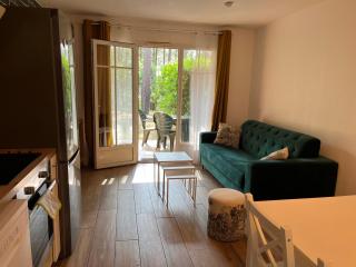 L'orée des Pins TROPICO Appartement T2 en RDC avec terrasse refait à neuf - Lacanau - 6