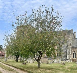 The Old Toll House - 2 Bedroom Cottage in Debenham - Debenham - 2