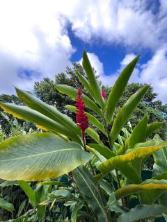 Villa plaisir de vivre - 3