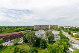 Dwa Koty - Sosnowiec - 1