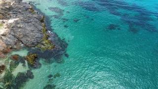Triplex, piscina na cobertura a 50 m da praia - Salvador - 1