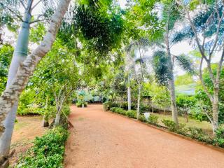 Moyaana in - Anuradhapura - 8