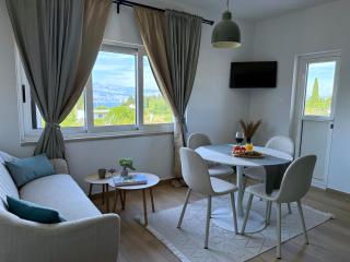 Apartman Domnius - Škrip - 9