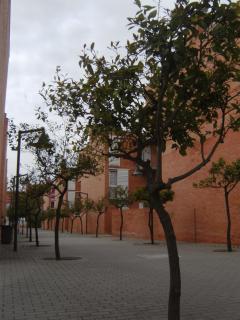 Students Only- Residencia Universitaria Alberto Jimenez - Malaga - 1